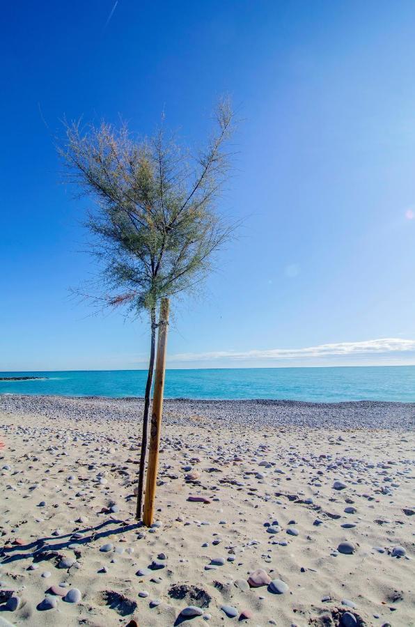 Chill'N Holidays Moncófar Екстериор снимка